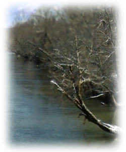 The French Broad River Near Hendersonville in Henderson County North Carolina