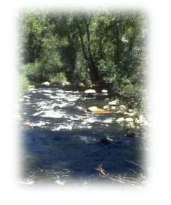 The North Toe River near Sprice Pine in Mitchell County NC