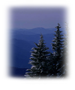 Mount Mitchell sits in Yancy County