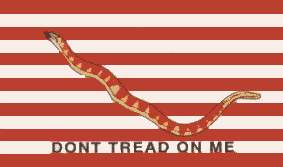 Historic Flag